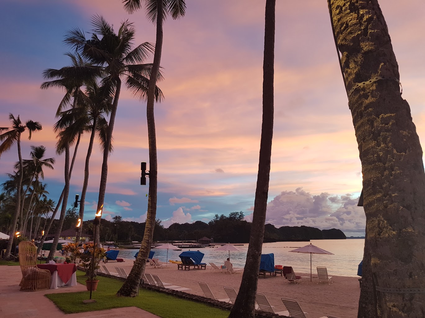 No Plans, Just Palau